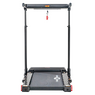 Беговая дорожка CardioPower TT10