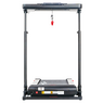 Беговая дорожка CardioPower TT10