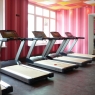 БЕГОВАЯ ДОРОЖКА ЭЛЕКТРИЧЕСКАЯ 8700TM 10"TV AEROFIT